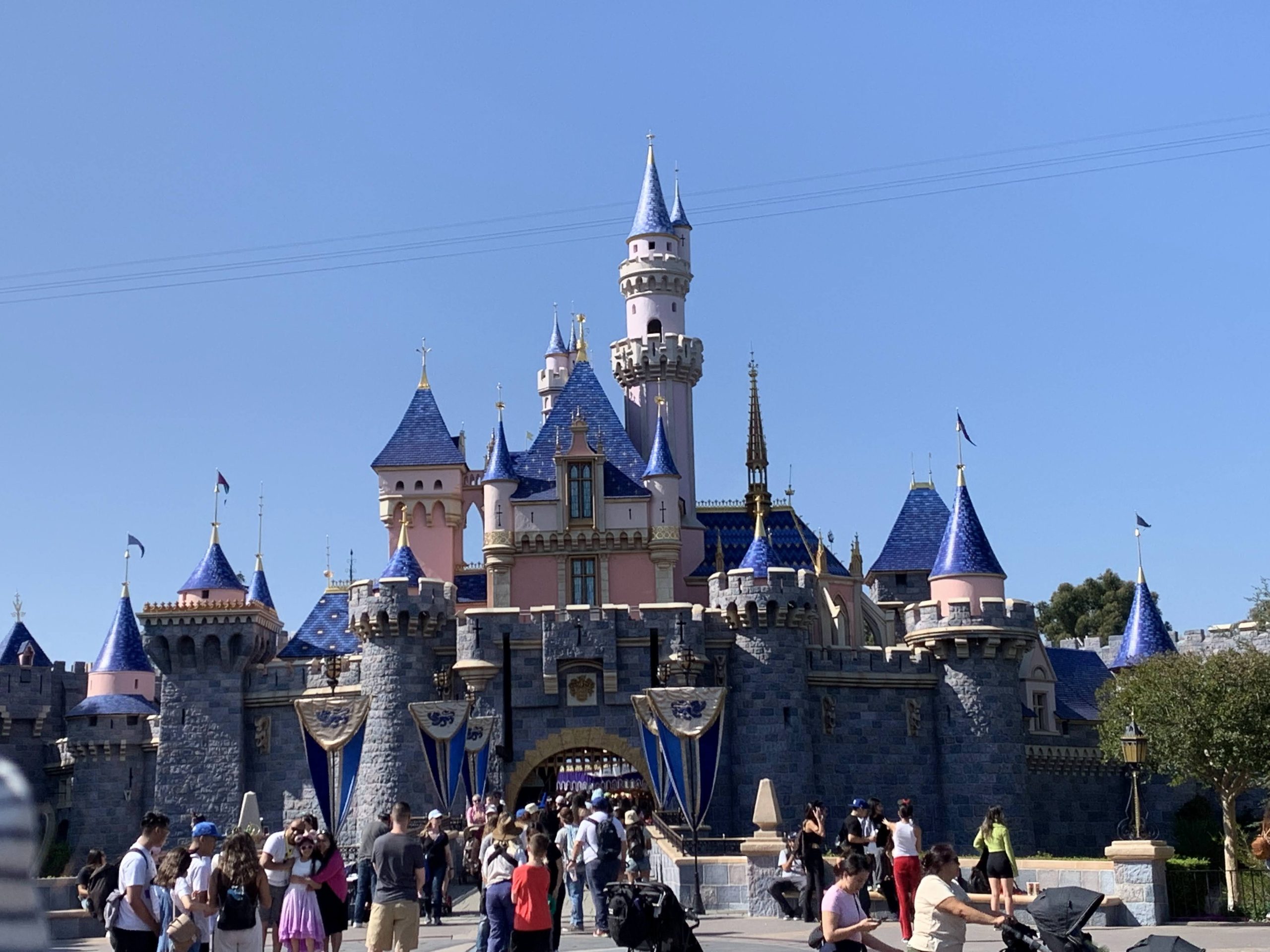 Does Disneyland Have Thrill Rides?